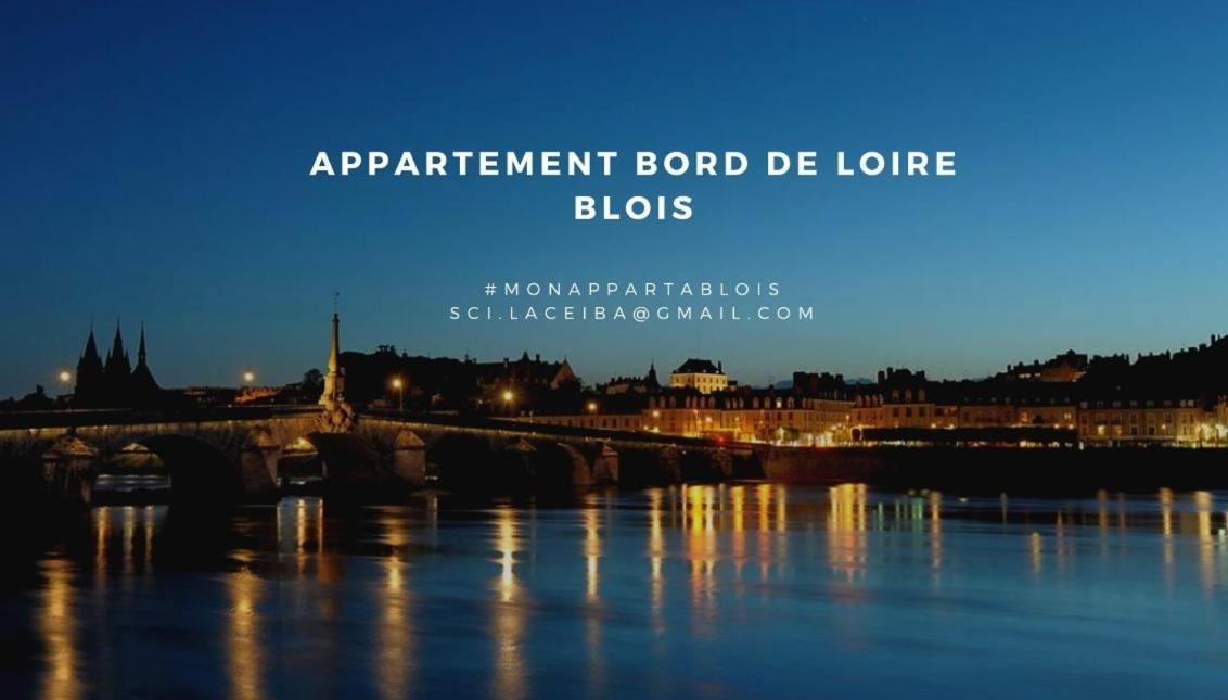Duplex 60 M2 Bord De Loire Apartment Блоа Екстериор снимка